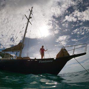 Meet your Posher, Freya